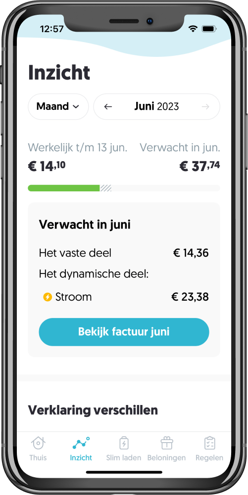 Overzicht van kosten voor Frank Energie in een app op een mobiele telefoon